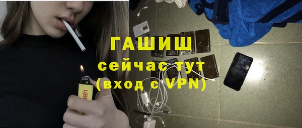 шишки Гусев