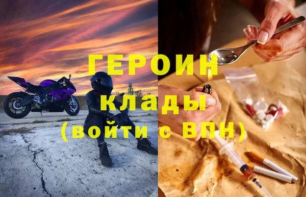 шишки Гусев
