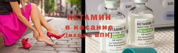 шишки Гусев