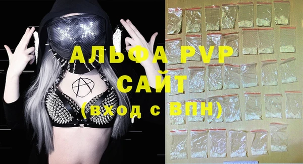 шишки Гусев
