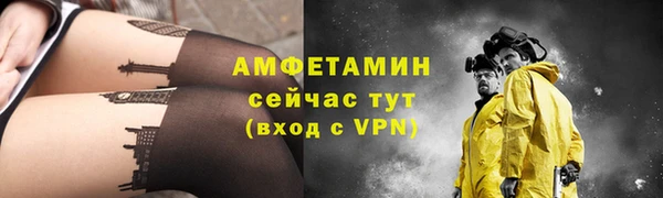 шишки Гусев