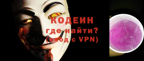 шишки Гусев