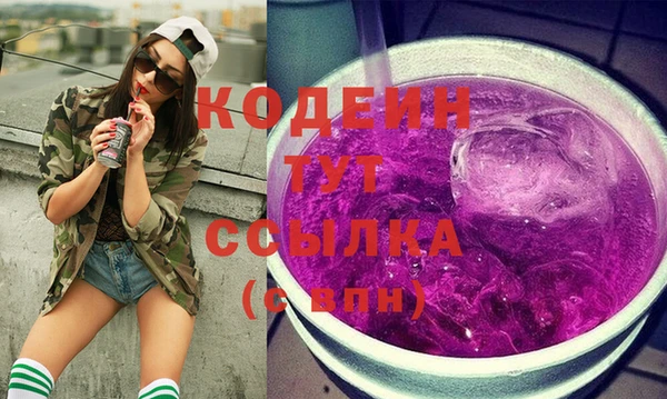 шишки Гусев