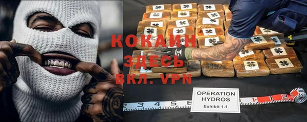 шишки Гусев