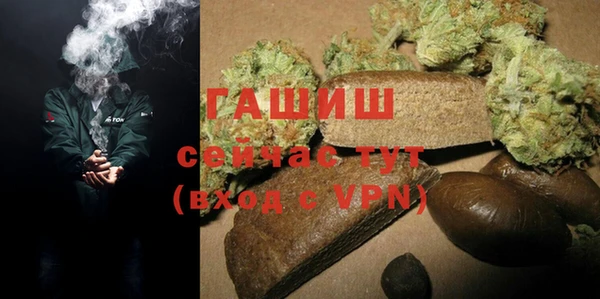 шишки Гусев