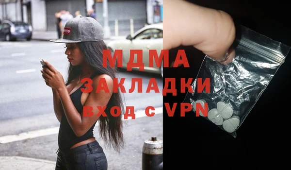 шишки Гусев