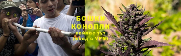 шишки Гусев